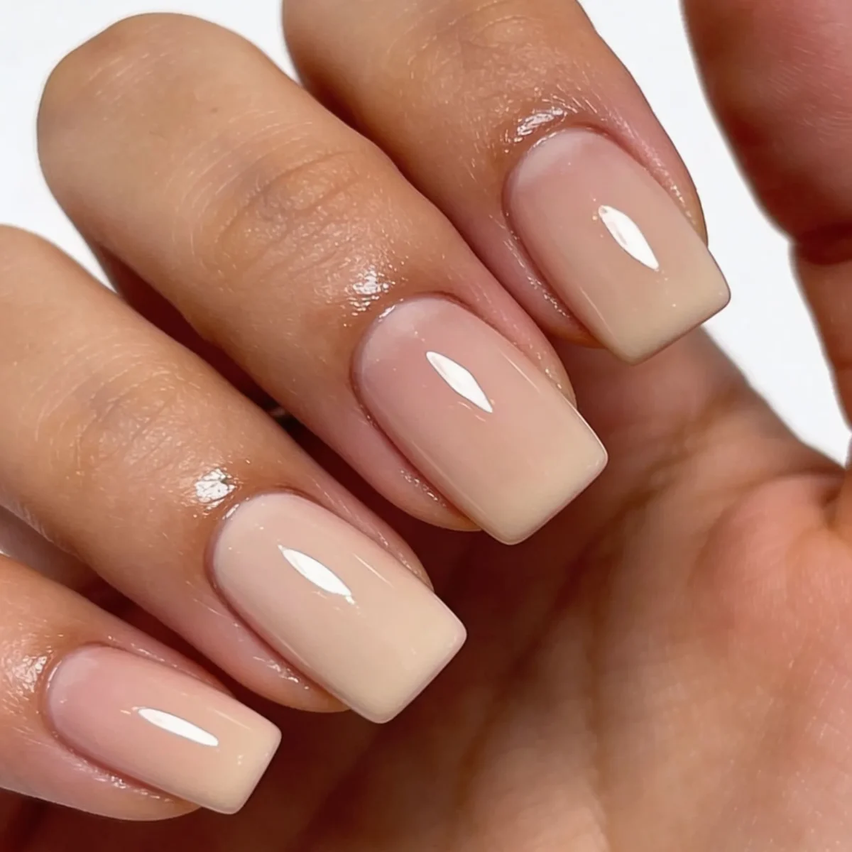 Acrylic & Shellac — Infill