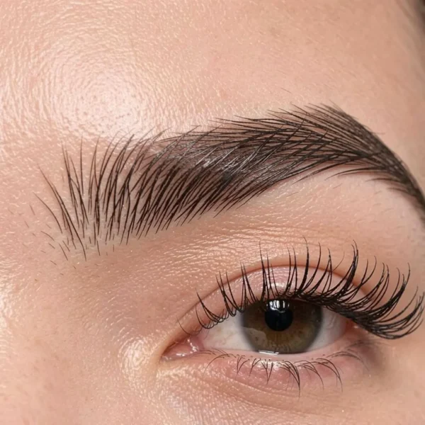 Eyebrows & Lashes